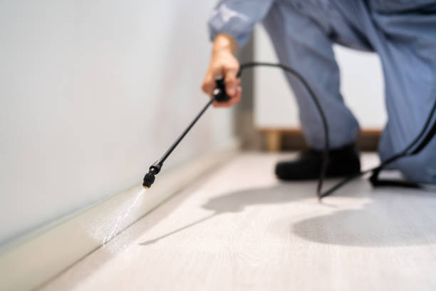 Licensed Ant Control service in Washington County County, IL - Nex Pest Control