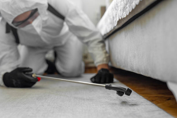 Professional Ant Control technician working in Washington County County, IL